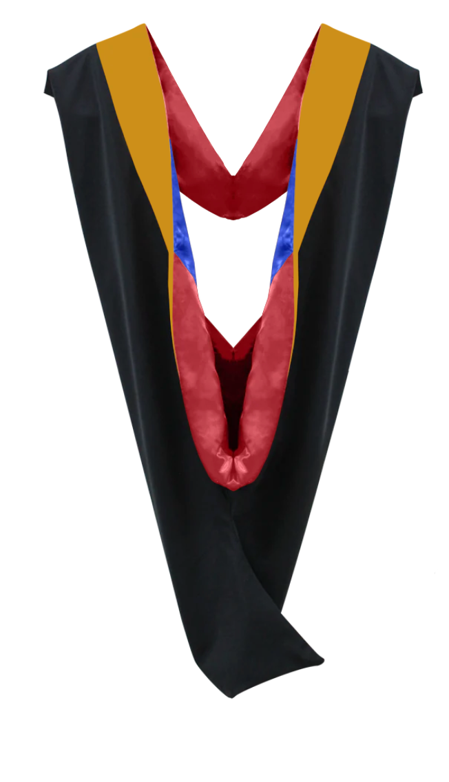 Bachelor Hoods on Clearance (FINAL SALE) - Science Gold Velvet