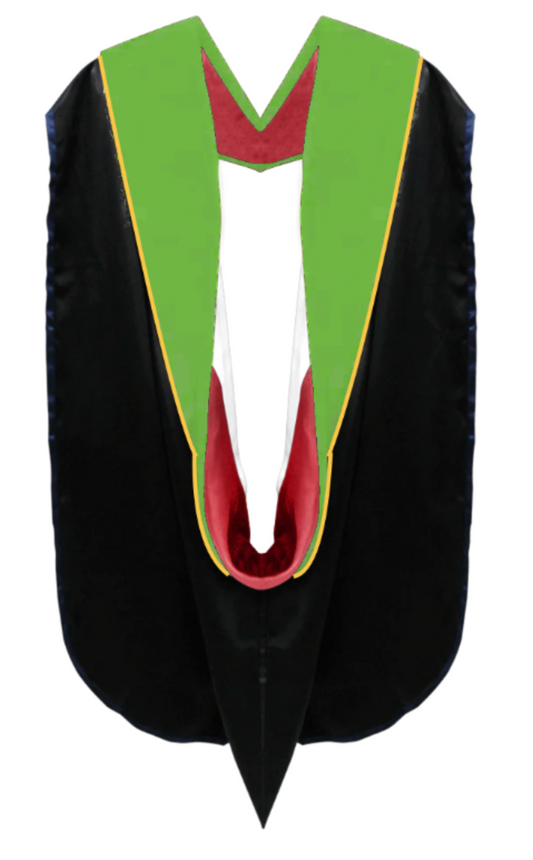 Doctoral Hoods on Clearance (FINAL SALE) - Sage Green Velvet