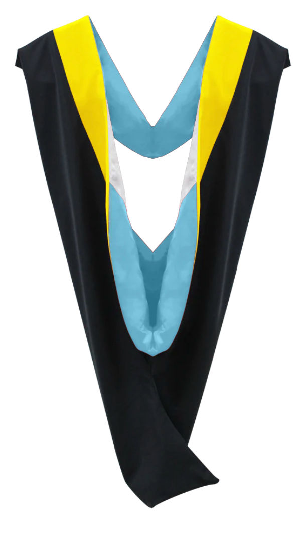 Bachelor Hoods on Clearance (FINAL SALE) - Lemon Velvet