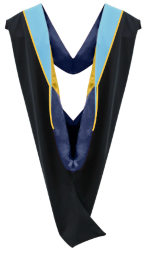 Bachelor Hoods on Clearance (FINAL SALE) - Light Blue Velvet