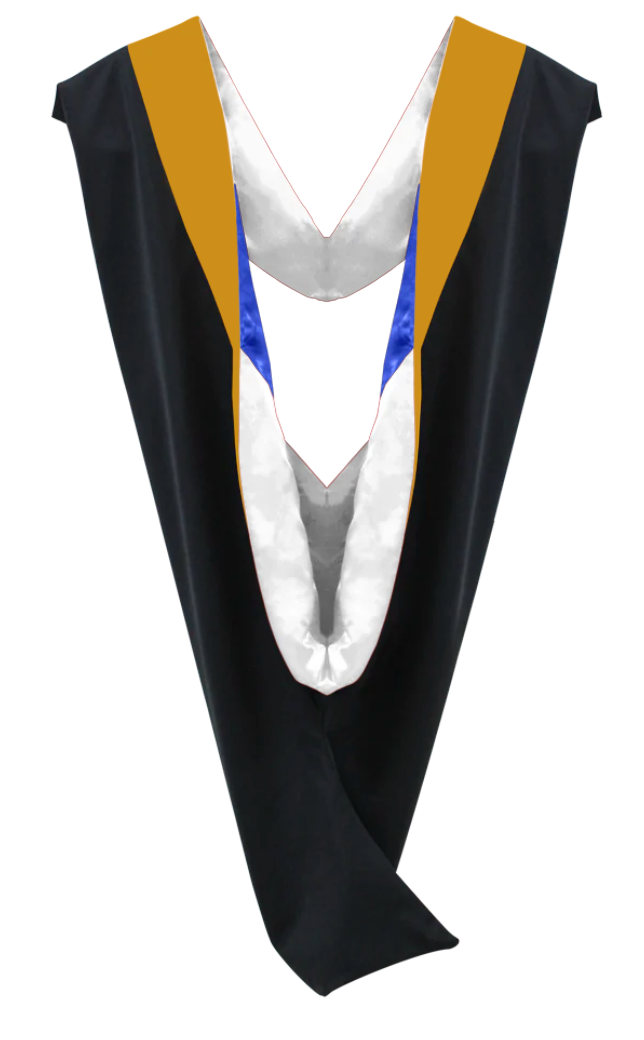 Bachelor Hoods on Clearance (FINAL SALE) - Science Gold Velvet