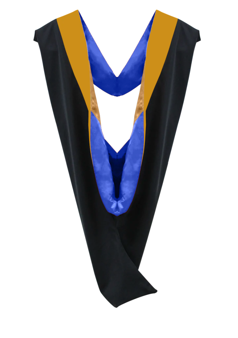 Bachelor Hoods on Clearance (FINAL SALE) - Science Gold Velvet