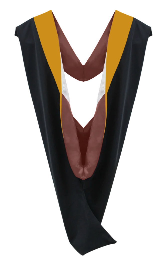 Bachelor Hoods on Clearance (FINAL SALE) - Science Gold Velvet