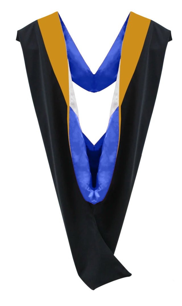 Bachelor Hoods on Clearance (FINAL SALE) - Science Gold Velvet