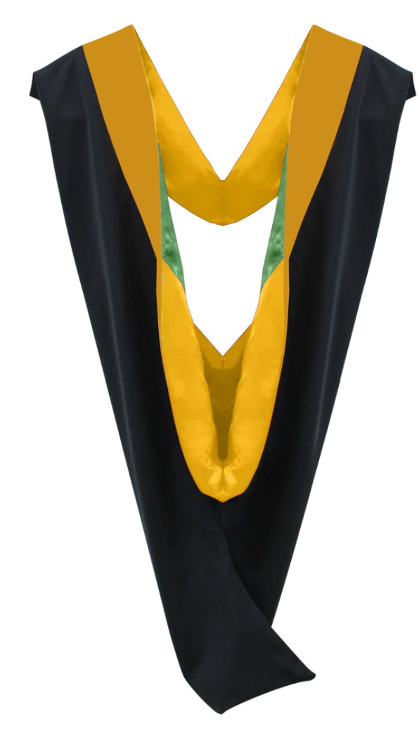 Master Hoods on Clearance (FINAL SALE) -Science Gold Velvet