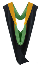 Master Hoods on Clearance (FINAL SALE) -Science Gold Velvet