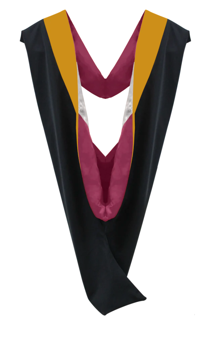 Master Hoods on Clearance (FINAL SALE) -Science Gold Velvet