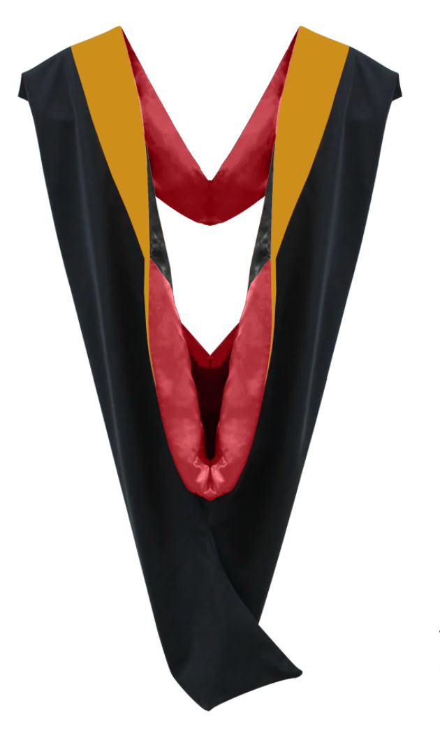 Master Hoods on Clearance (FINAL SALE) -Science Gold Velvet