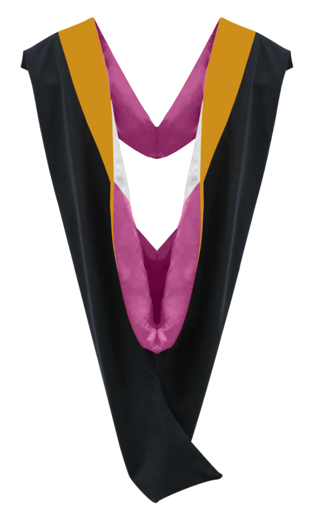 Master Hoods on Clearance (FINAL SALE) -Science Gold Velvet