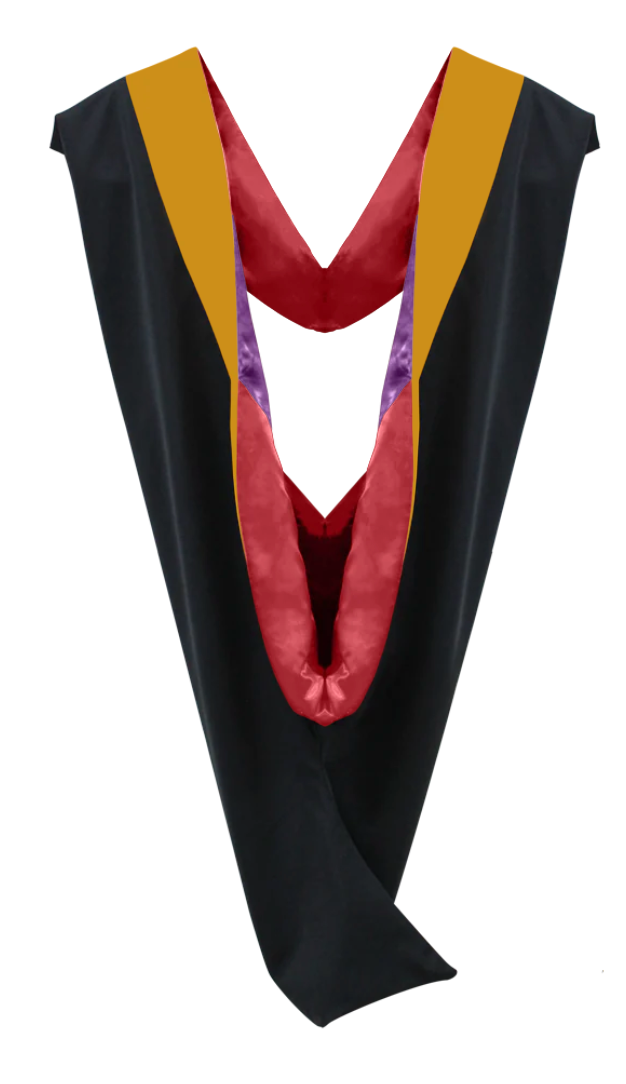 Master Hoods on Clearance (FINAL SALE) -Science Gold Velvet