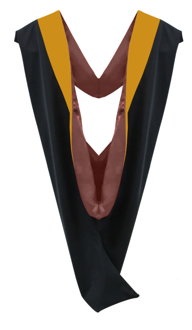 Master Hoods on Clearance (FINAL SALE) -Science Gold Velvet