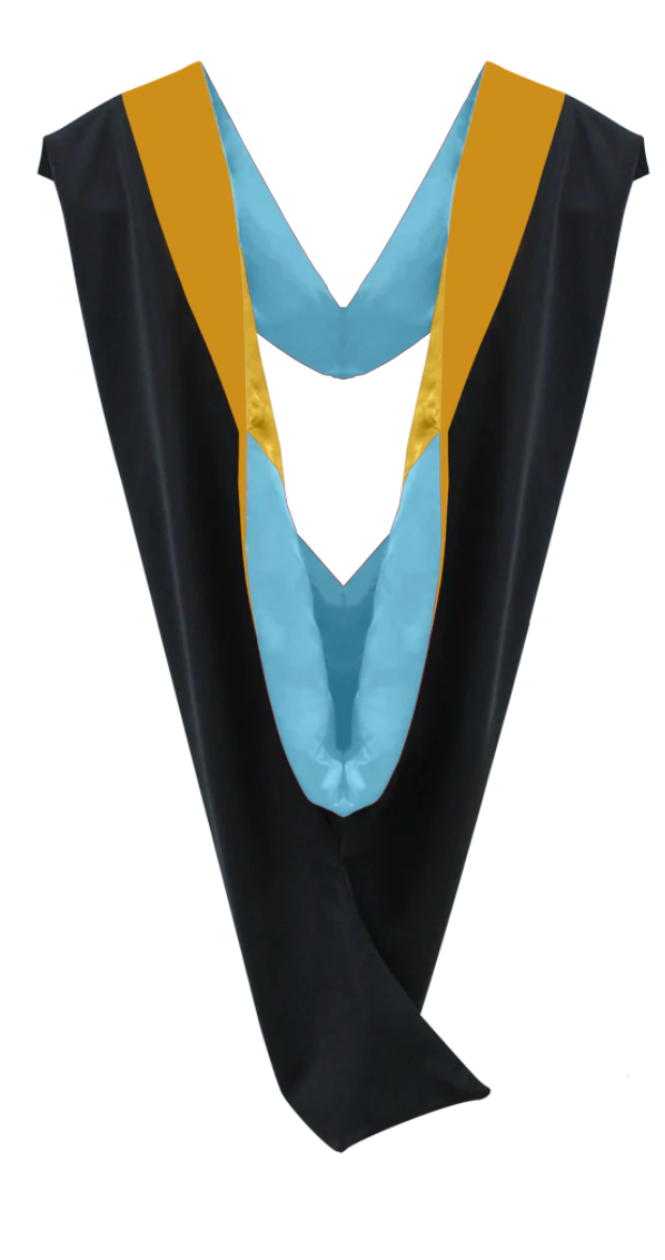 Master Hoods on Clearance (FINAL SALE) -Science Gold Velvet