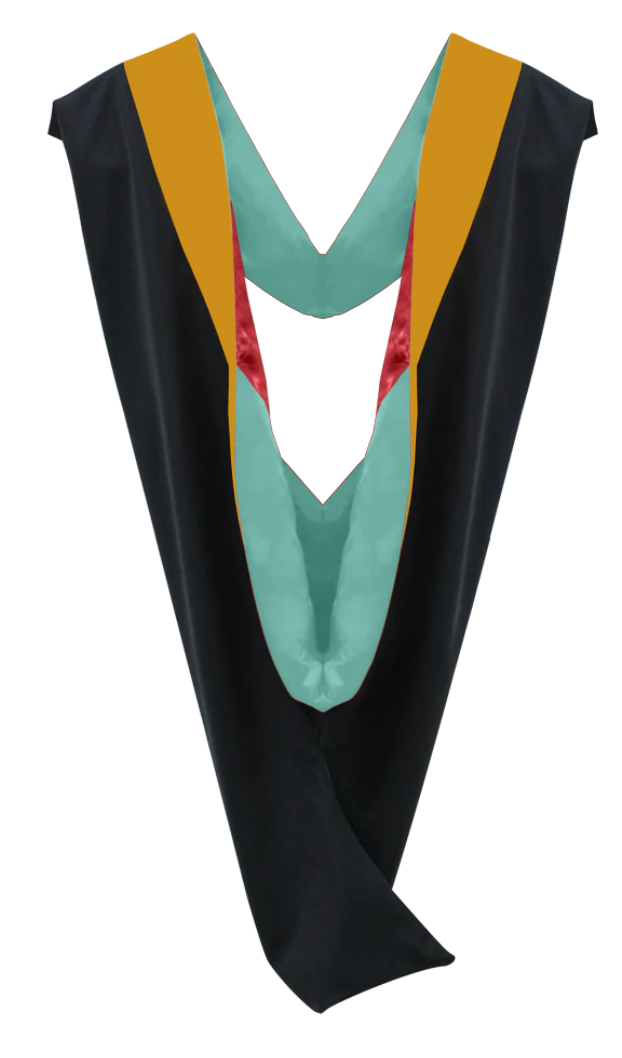 Master Hoods on Clearance (FINAL SALE) -Science Gold Velvet