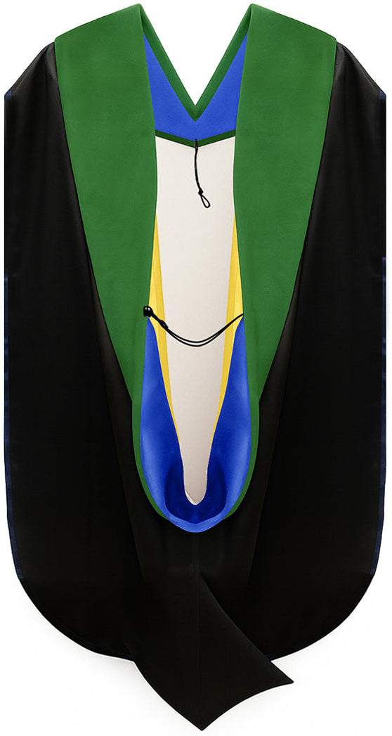 Doctor of Medicine Hood - Royal Blue & Gold