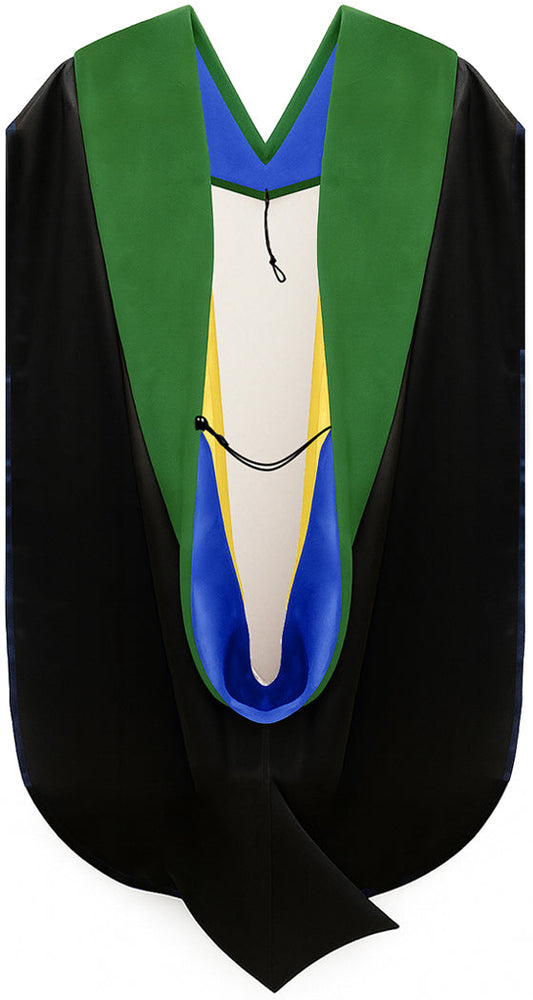 Doctor of Medicine Hood - Royal Blue & Gold